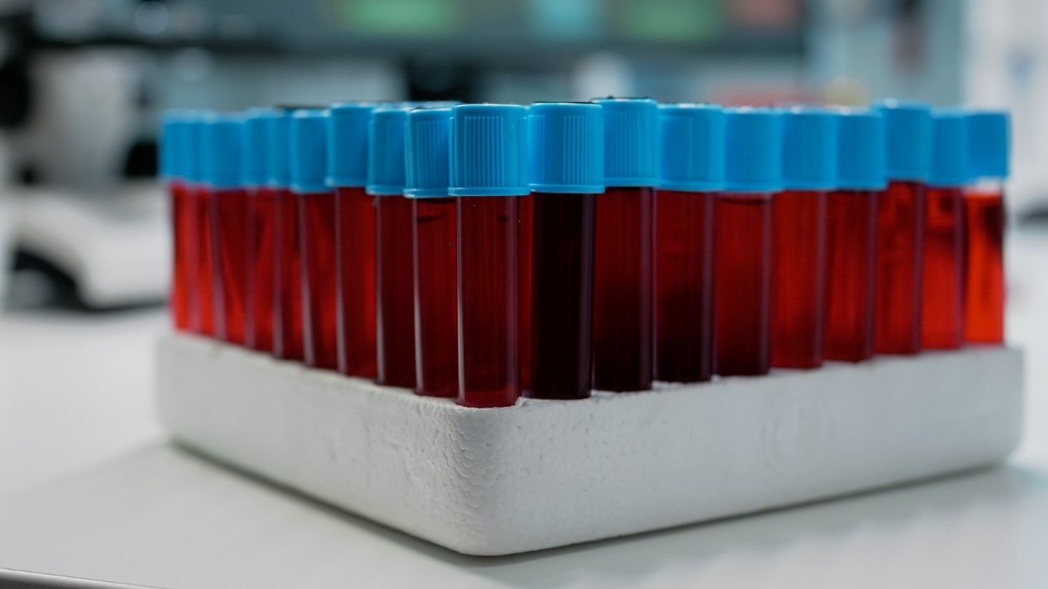 Blood Bank Management System